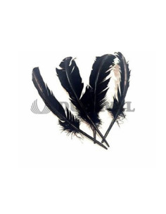 Plumas duro negras 25cm | Ducaval | Envíos 24/48 horas
