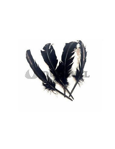 Plumas duro negras 25cm | Ducaval | Envíos 24/48 horas