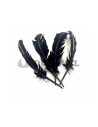 Plumas duro negras 25cm | Ducaval | Envíos 24/48 horas