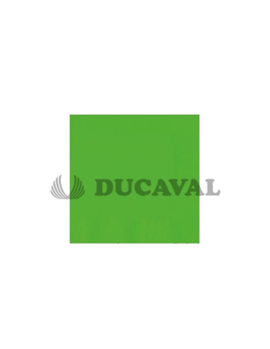 Servilletas verde flúor doble capa 33x33 30 unidades