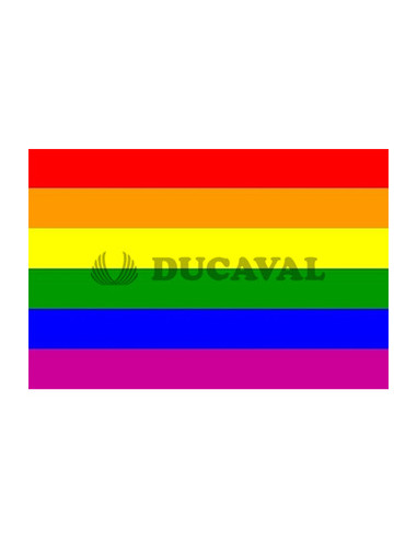 Bandera arco iris 90x150