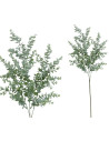 VARA EUCALIPTO X 32  73 CM (VERDE/CL) | Ducaval | Envías 24/48 horas