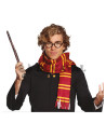 Conjunto mago: Bufanda y gafas  Disfraces Ducaval