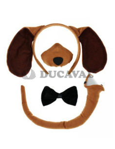 Conjunto perro marrón