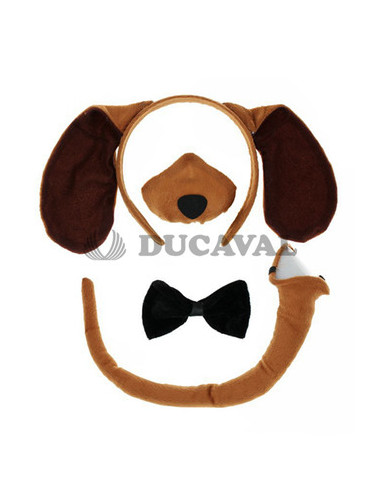 Conjunto perro marrón