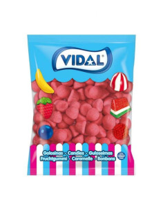 Fresas crunch Vidal 1kg | Ducaval | Envíos 24/48 horas