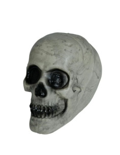 Calavera decorativa para Halloween | Ducaval | Envías 24/48 horas 