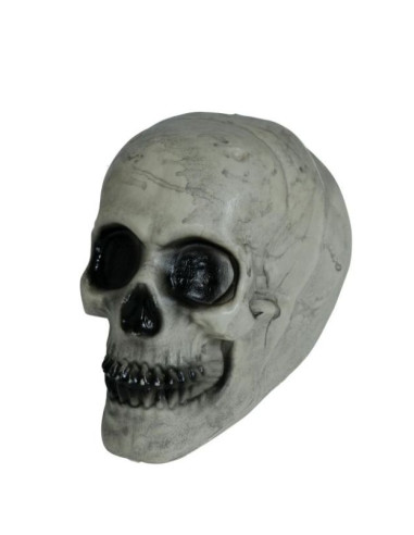 Calavera decorativa para Halloween | Ducaval | Envías 24/48 horas 