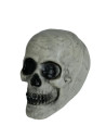 Calavera decorativa para Halloween | Ducaval | Envías 24/48 horas 