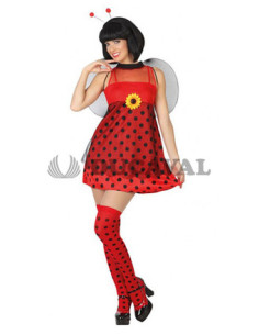 Disfraz de Mariquita chica