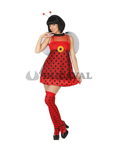 Disfraz de Mariquita chica