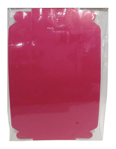 Bandeja fucsia perritos lisa 6 unidades  Disfraces Ducaval