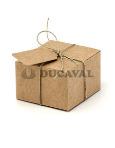 Cajas papel kraft con cuerda 10ud  Disfraces Ducaval