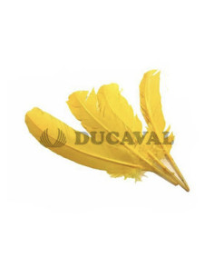 Plumas duro amarillas 25cm