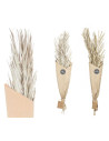 Ramillete hojas de palmera blanco y natural | Ducaval | Envías 24/48 