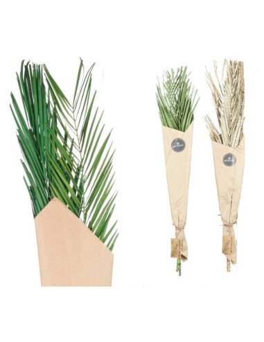 Ramillete hojas de palmera verde y natural | Ducaval | Envías 24/48 h