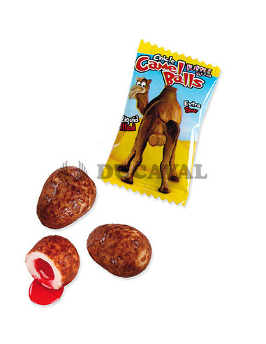 Huevos de camello 200u | Ducaval envios 24/48 horas