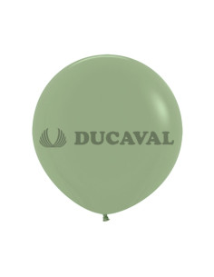 Globos látex eucalipto 45cm 15 unidades | Ducaval | Envíos 24/48 hora