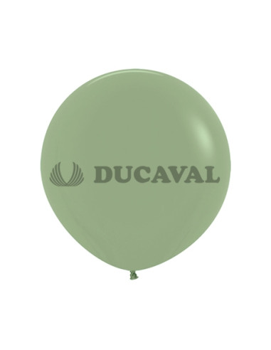 Globos látex eucalipto 45cm 15 unidades | Ducaval | Envíos 24/48 hora