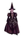 Disfraz bruja c/doradas (79 años) | Ducaval |