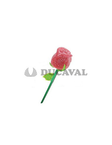 Rosa pectina