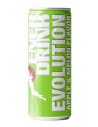 Enerdrink manzana y melón 24und | Ducaval | Envíos 24/48 horas