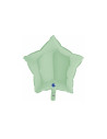 Estrella foil verde mate 46cm | Ducaval | Envíos 24/48 horas