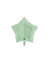 Estrella foil verde mate 91cm | Ducaval | Envíos 24/48 horas 
