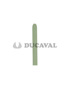 Globo látex fashion eucalipto SLD | Ducaval