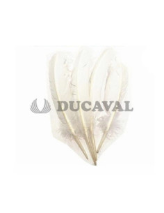 Plumas duro blancas 25cm