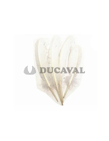 Plumas duro blancas 25cm