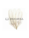 Plumas duro blancas 25cm