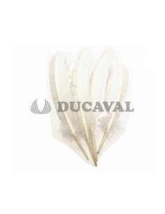 Plumas duro blancas 25cm