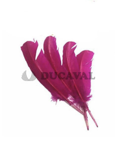 Plumas duro fucsias 25cm
