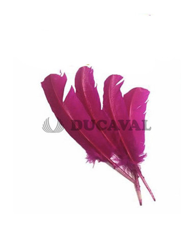 Plumas duro fucsias 25cm