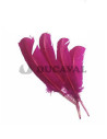 Plumas duro fucsias 25cm
