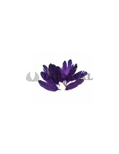 Plumas duro moradas 15cm 10ud | Ducaval | Envíos 24/48h