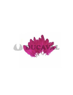 Plumas duro fucsia 15cm 10ud | Ducaval | Envíos 24/48 horas