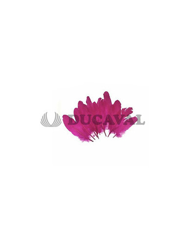 Plumas duro fucsia 15cm 10ud | Ducaval | Envíos 24/48 horas