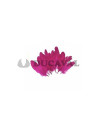 Plumas duro fucsia 15cm 10ud | Ducaval | Envíos 24/48 horas