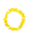 Collar hawaii 46 cm amarillo  | Ducaval | Envías 24/48 horas 