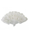 Abanico plumas blanco