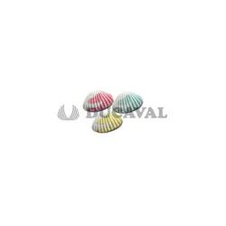 Almejas Damel 1kg  Disfraces Ducaval Envios 2448 horas