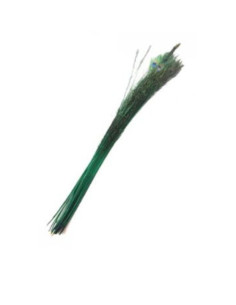 Plumas pavo verde 85CM | Ducaval | Envías 24/48 horas 