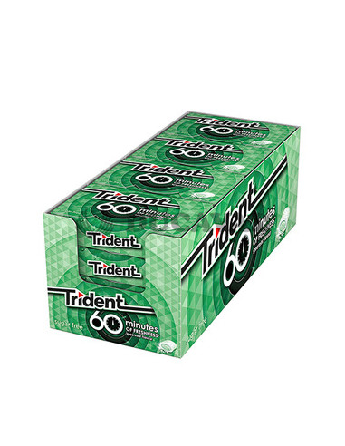 Trident 60 minutos hierbabuena 16 packs | Ducaval | Envíos 24/48 hora