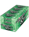 Trident 60 minutos hierbabuena 16 packs | Ducaval | Envíos 24/48 hora