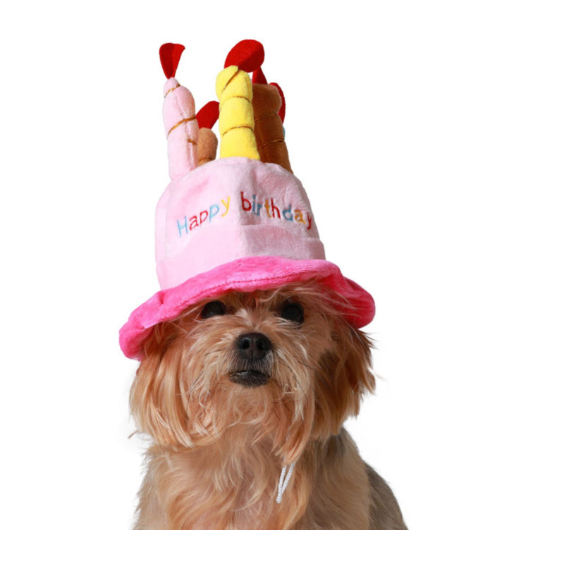Gorro rosa feliz cumpleaños mascotas | Ducaval | Envías 24/48 horas 