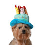 Gorro azul feliz cumpleaños mascotas | Ducaval | Envías 24/48 horas 