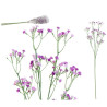 Vara gypso violeta 66cm | Ducaval | Envías 24/48 horas 