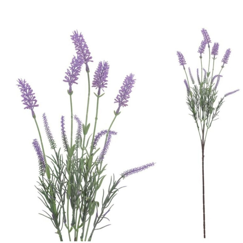 Vara lavanda 572cm | Ducaval | Envías 24/48 horas 